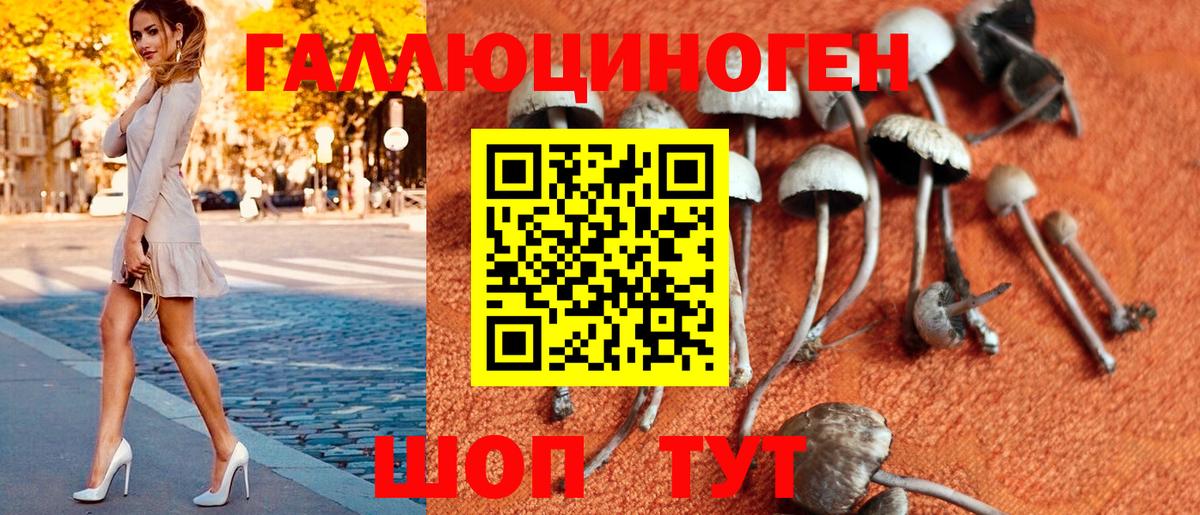 Псилоцибиновые грибы MAGIC MUSHROOMS Стрежевой